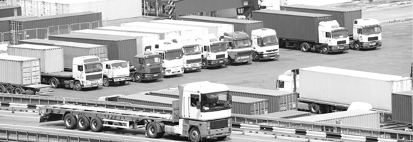 TRANSPORTE TERRESTRE